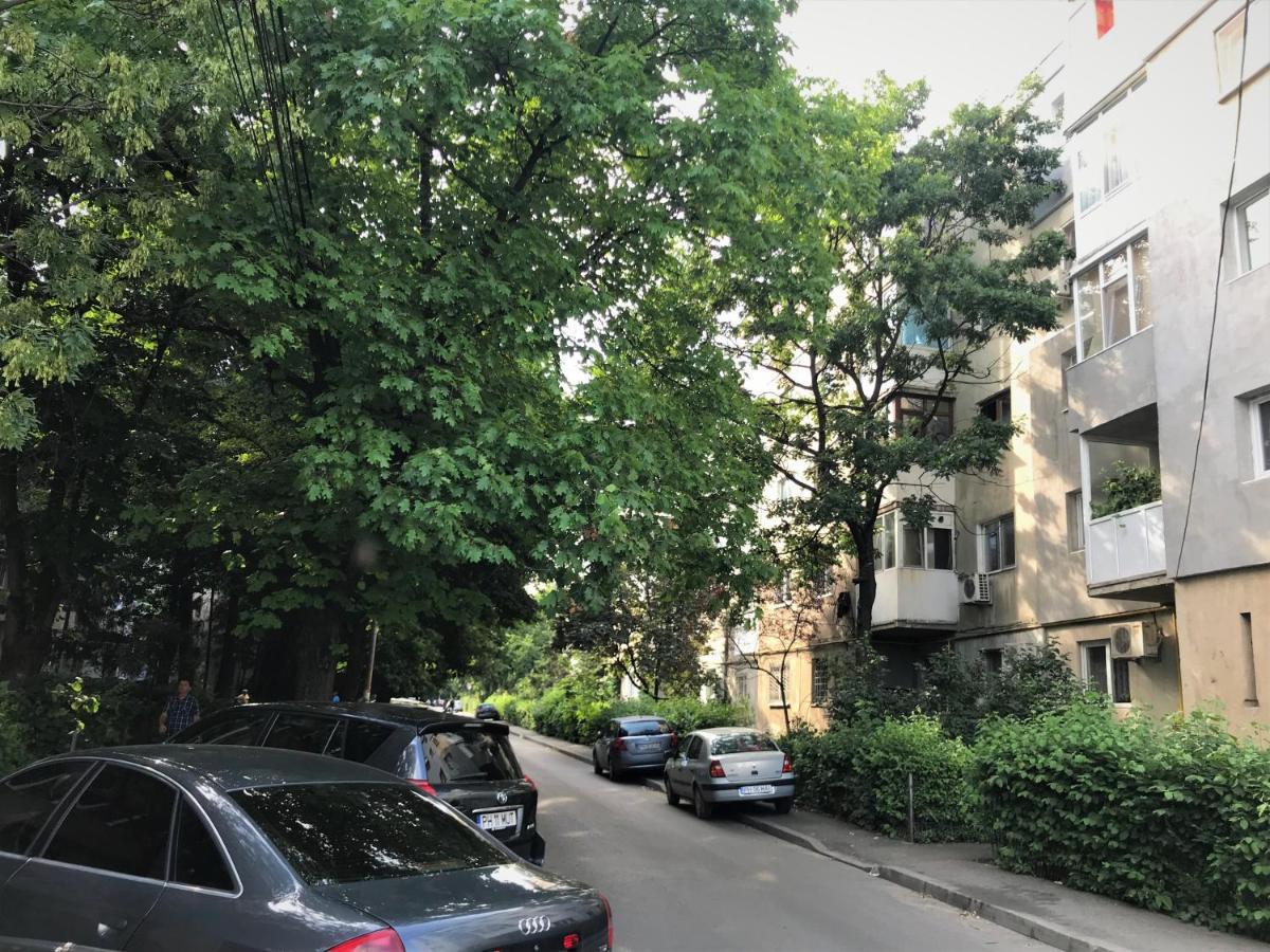 Adrian Home 3 Rooms Apartment Ploieşti Kültér fotó